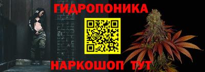 СК Обь