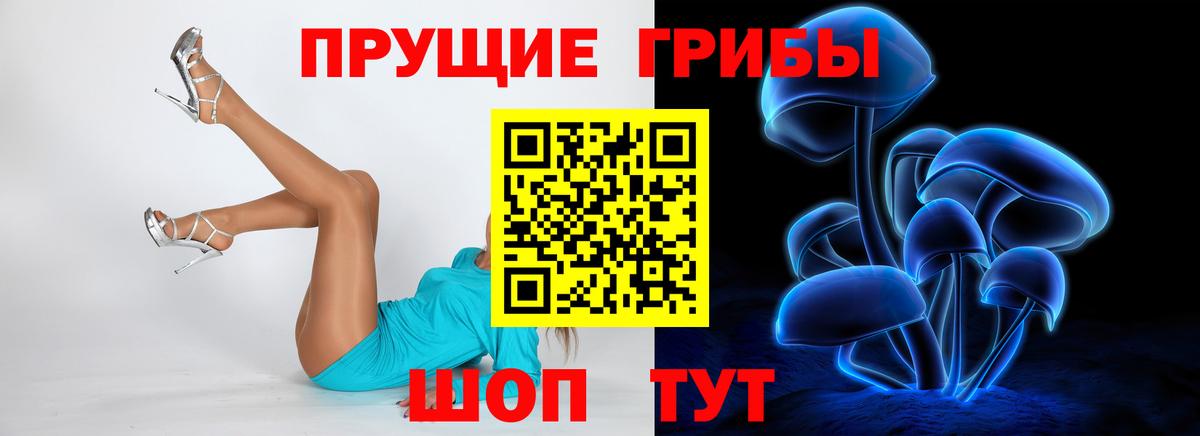 где продают   Вход с VPN  Сарапул  Галлюциногенные грибы Psilocybine cubensis 